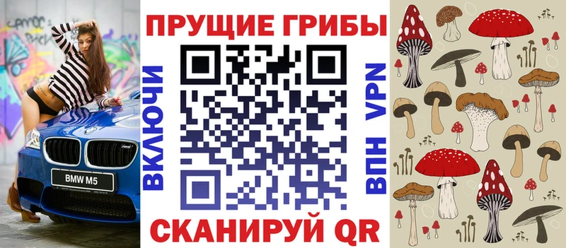 Псилоцибиновые грибы Psilocybe  Кудымкар 