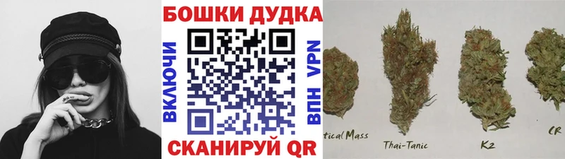 Канабис Amnesia  Кудымкар 
